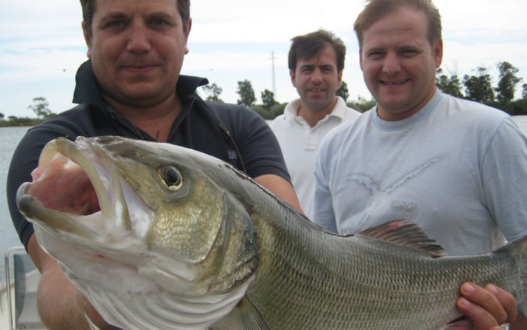 Spanien Ebro Delta Fisch 0013